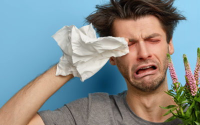 Rinite Allergica