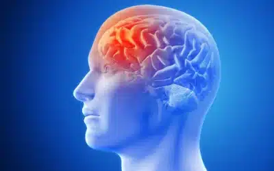 Epilessia e Crisi Convulsive: Un Approccio Ambulatoriale alla Gestione